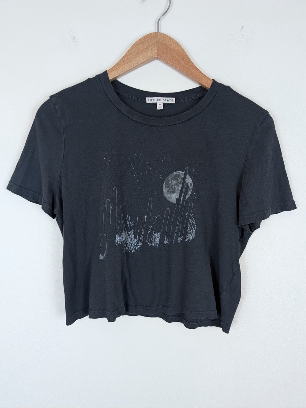 Urban Outfitters Future State Desert Print Crop Tshirt